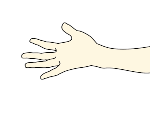 手指の伸展