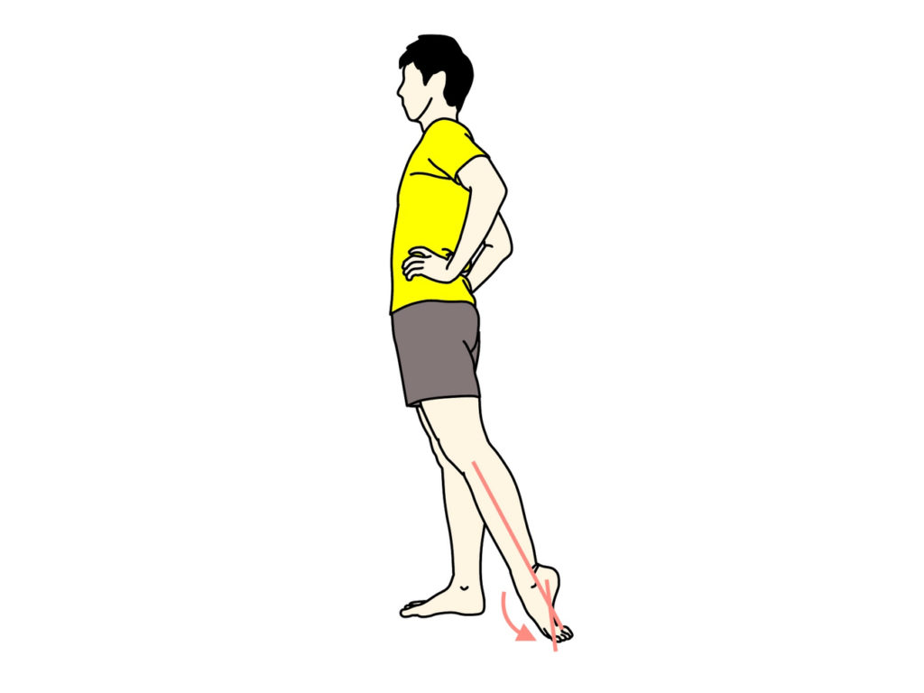 足の甲 スネの筋肉 前脛骨筋 のストレッチの方法