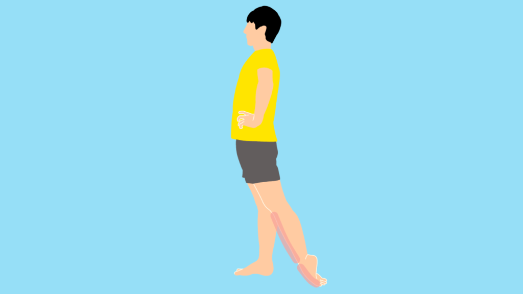 足の甲〜スネの筋肉（前脛骨筋）のストレッチの方法