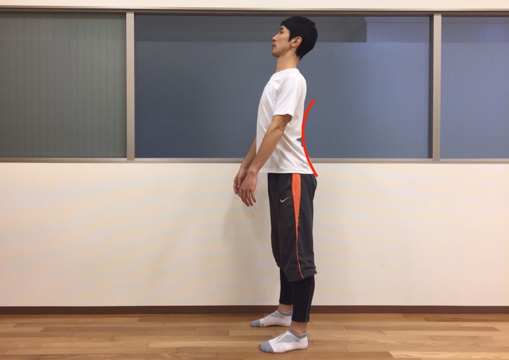 立位姿勢で骨盤の前傾