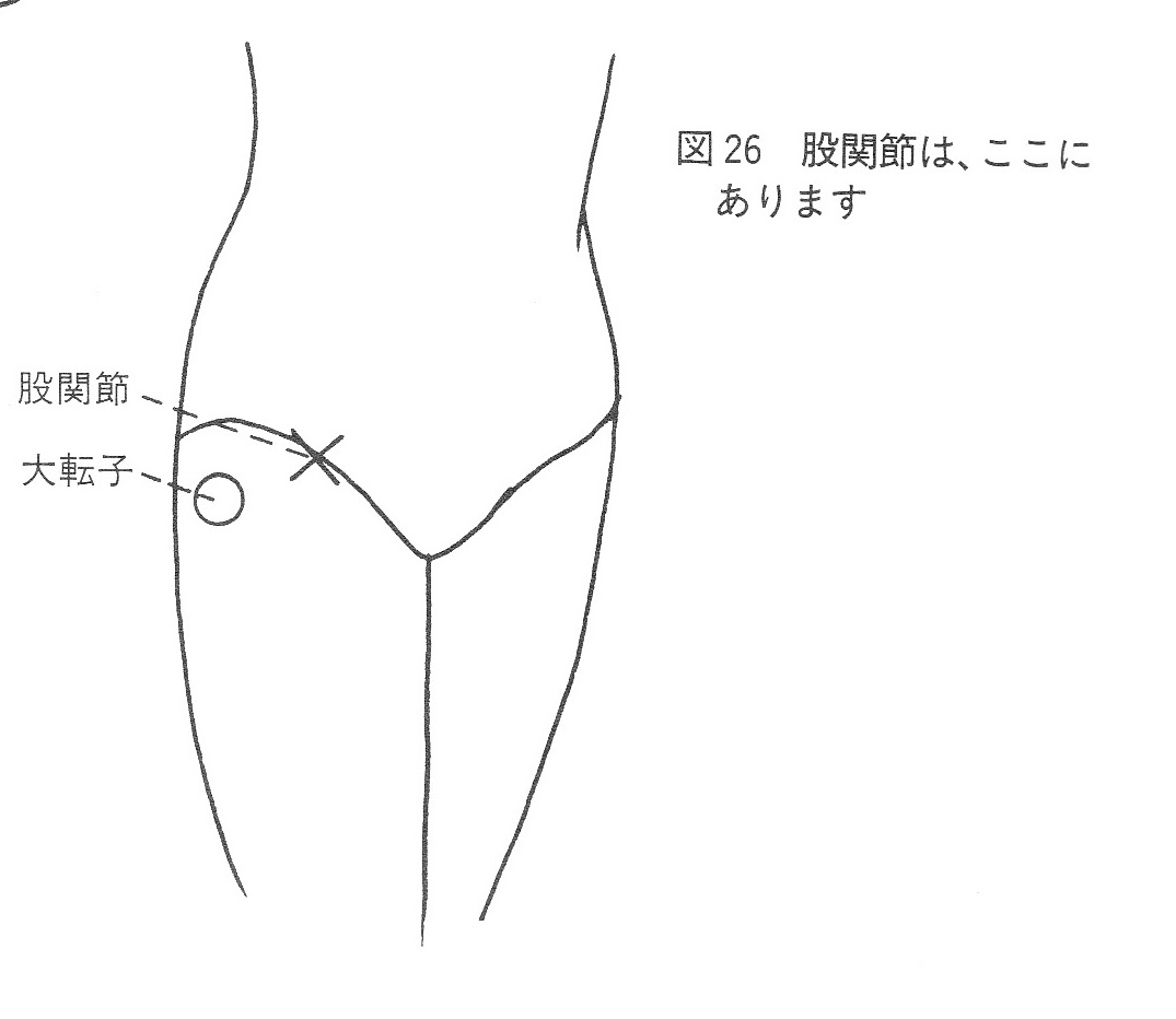 股関節と大転子の位置