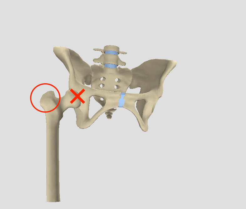 大転子と股関節の位置
