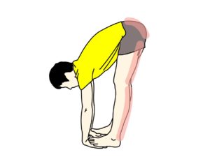 もも裏(ハムストリングス)のストレッチで伸びる場所