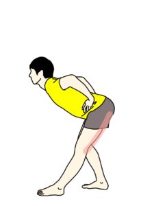 もも裏(ハムストリングス)のストレッチで伸びる場所