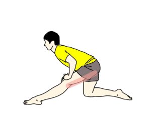 もも裏(ハムストリングス)のストレッチで伸びる場所