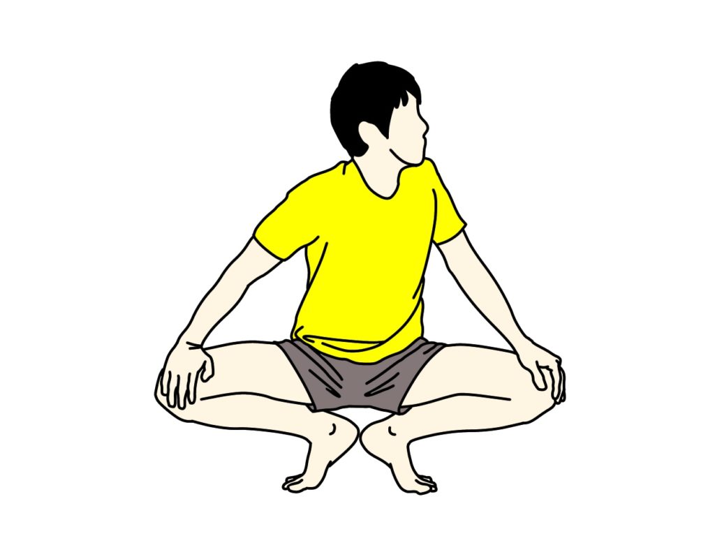 股割り姿勢で行う内転筋のストレッチ
