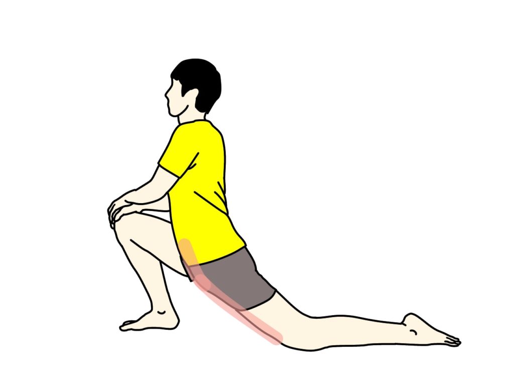 骨盤前〜もも前（腸腰筋・大腿直筋）のストレッチで伸びる場所