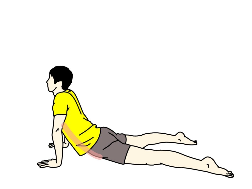 腹筋のストレッチで伸びる場所
