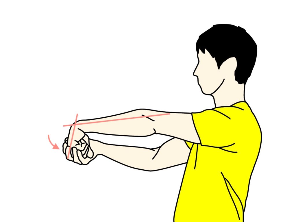 手の甲〜腕の筋肉（前腕伸筋群）のストレッチの方法