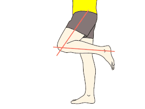 膝関節の伸展