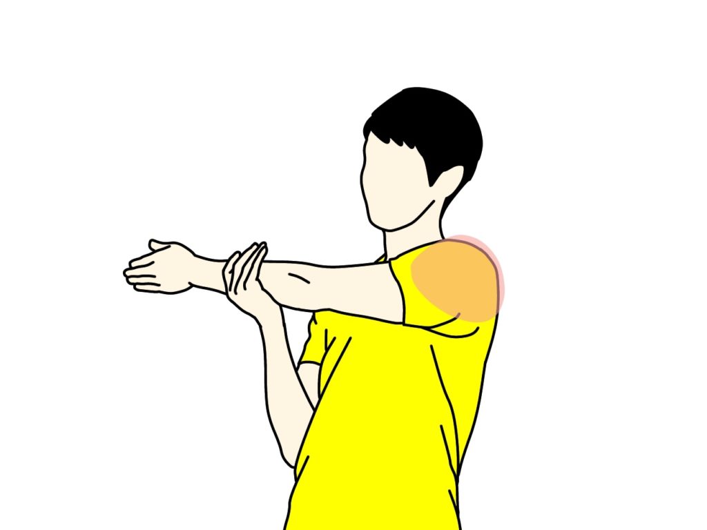 肩の筋肉（三角筋後部）のストレッチで伸びる場所