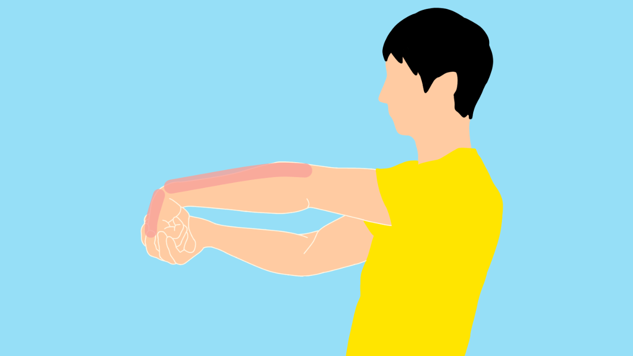 手の甲〜腕の筋肉（前腕伸筋群）のストレッチ
