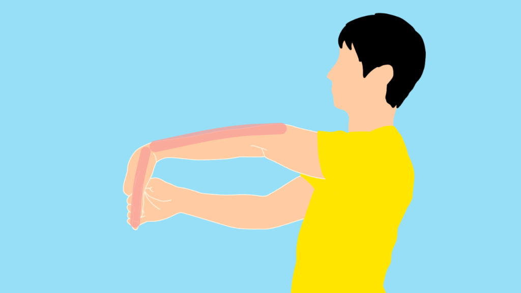 手の平〜腕の筋肉（前腕屈筋群）のストレッチ