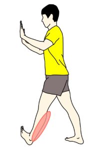 壁を使ったふくらはぎのストレッチで伸びる場所
