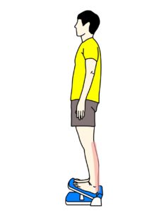 ふくらはぎ(下腿三頭筋)のストレッチで伸びる場所