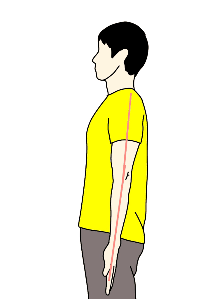 肘関節の伸展