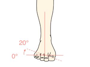 足の底を外側に向ける動作（足の外反）の関節可動域（ROM）と働く筋肉のまとめ