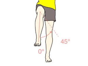 太ももを外へ捻る動作（股関節の外旋）の関節可動域（ROM）と働く筋肉のまとめ