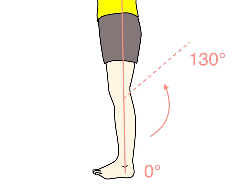 膝を曲げる動作（膝関節の屈曲）の関節可動域（ROM）