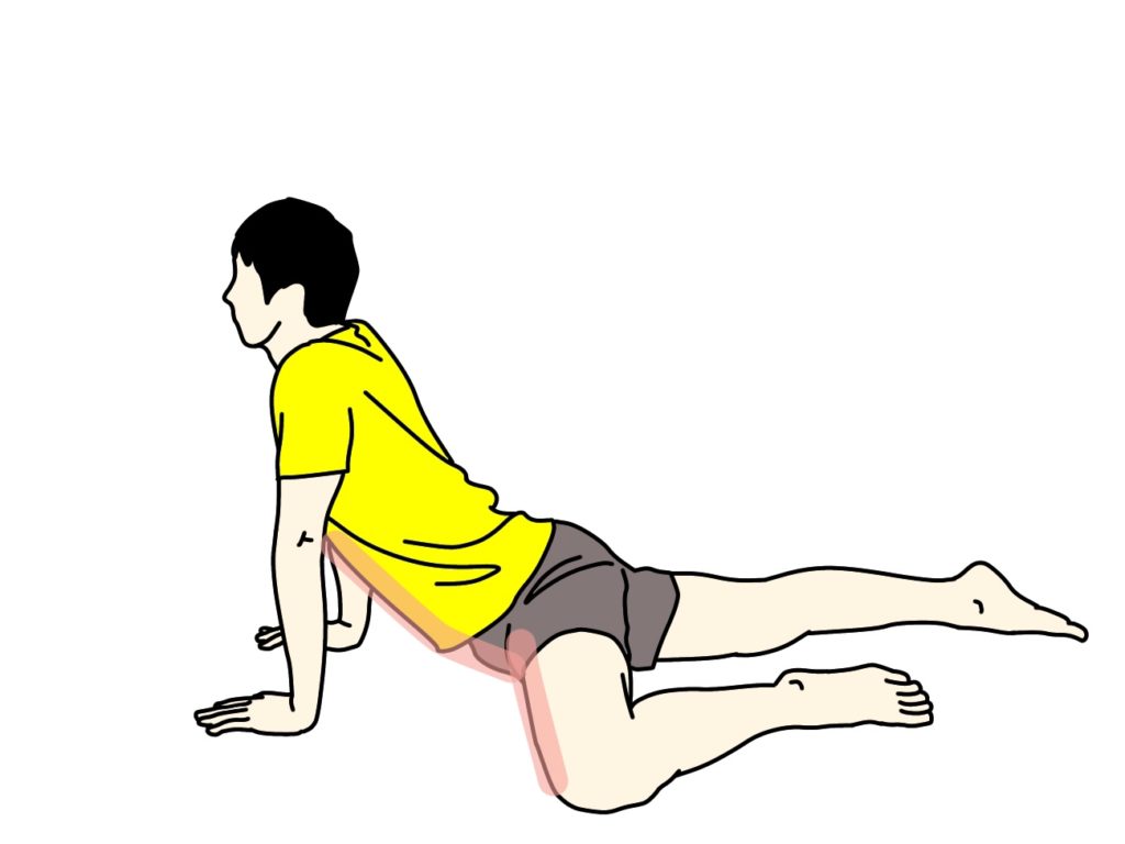 腹筋と内もものストレッチで伸びる場所