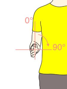 前腕（橈尺関節）の回内動作に作用する筋肉と関節可動域（ROM）のまとめ