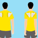 肩甲骨の外転と内転