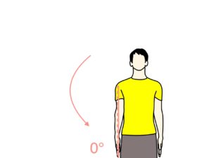 腕を体幹側に閉じる動作（肩関節の内転）の関節可動域（ROM）と働く筋肉のまとめ