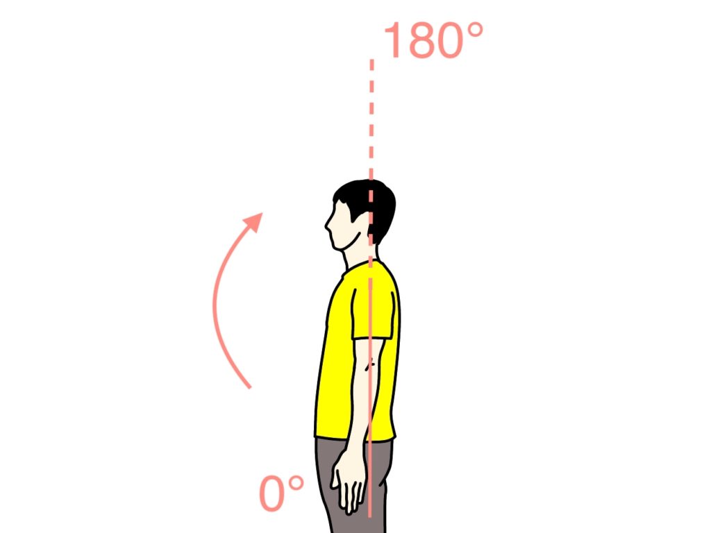 腕を前に上げる動作（肩関節の屈曲）の関節可動域（ROM）