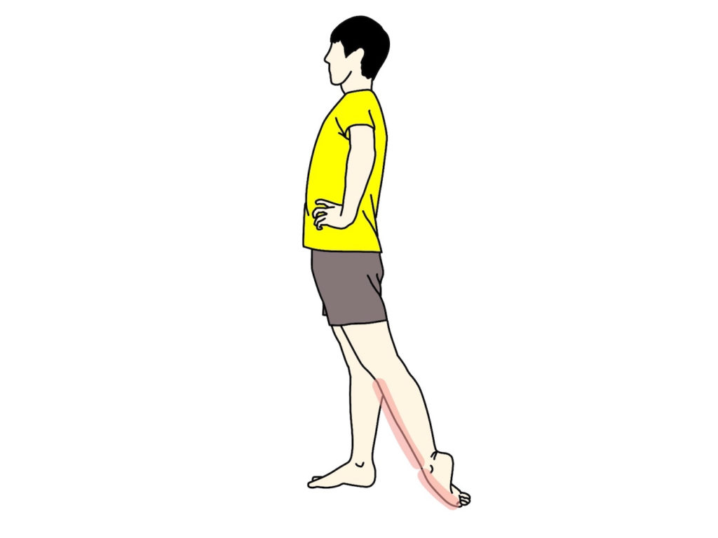 足の甲〜スネの筋肉（前脛骨筋）のストレッチで伸びるところ