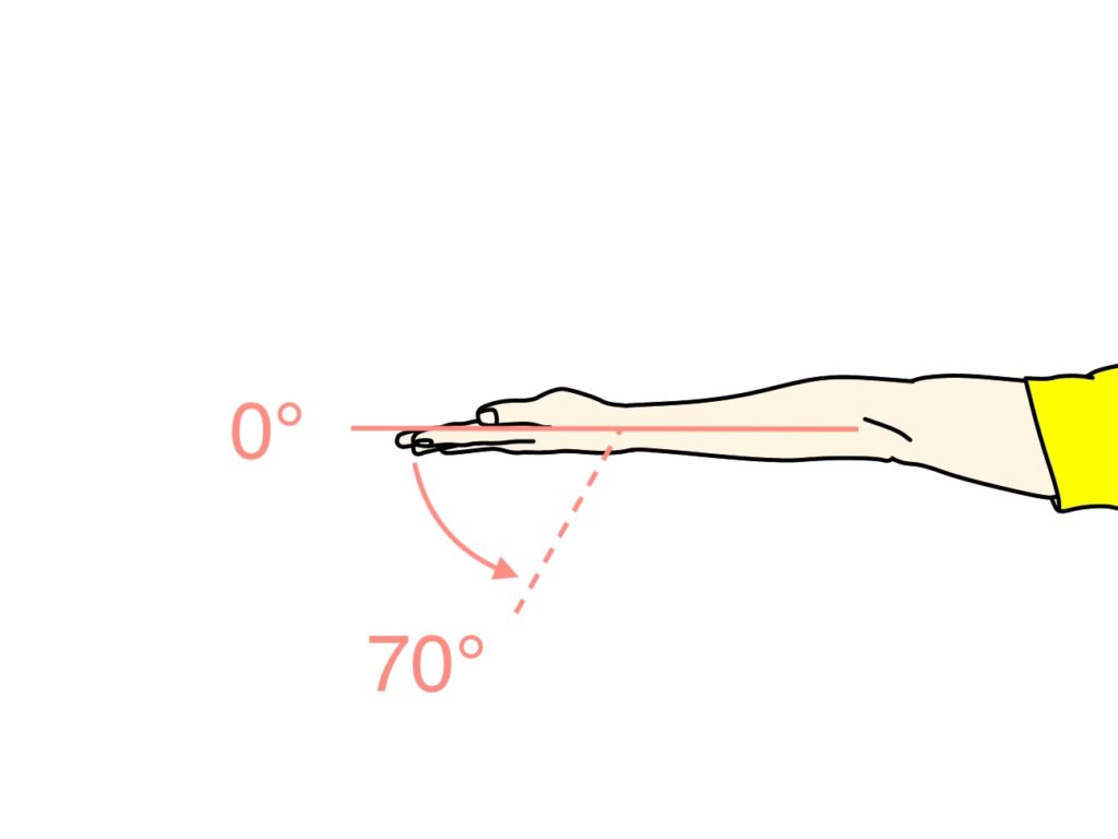 手首を伸ばす動作（手首の伸展）に作用する筋肉と関節可動域（ROM）