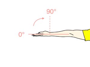 手首を曲げる動作（手首の屈曲）の関節可動域（ROM）と働く筋肉のまとめ