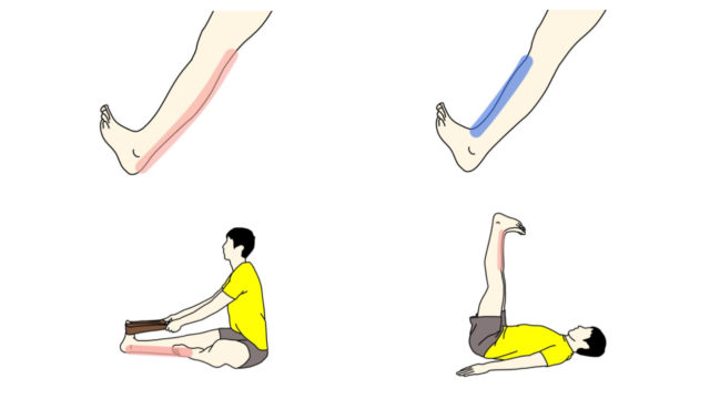 肉離れに注意してストレッチしましょう 肉離れが起こる原因と症状 起こった後の対処法について