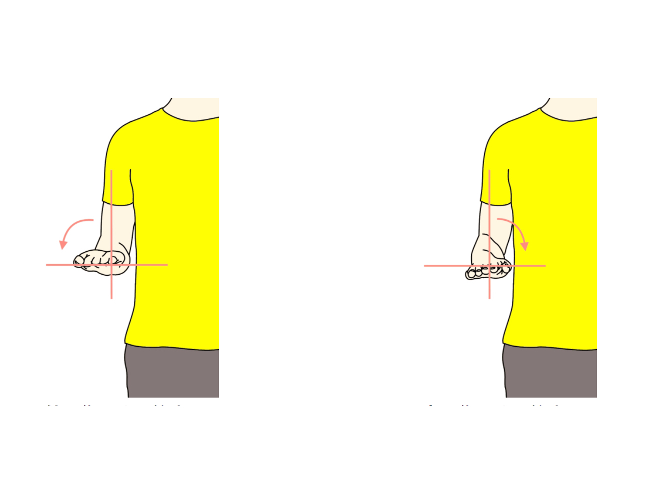 前腕（橈尺関節）の回外と回内の拮抗筋