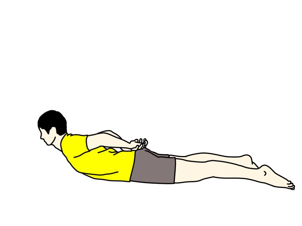 背筋 脊柱起立筋 のトレーニング 体幹トレーニング