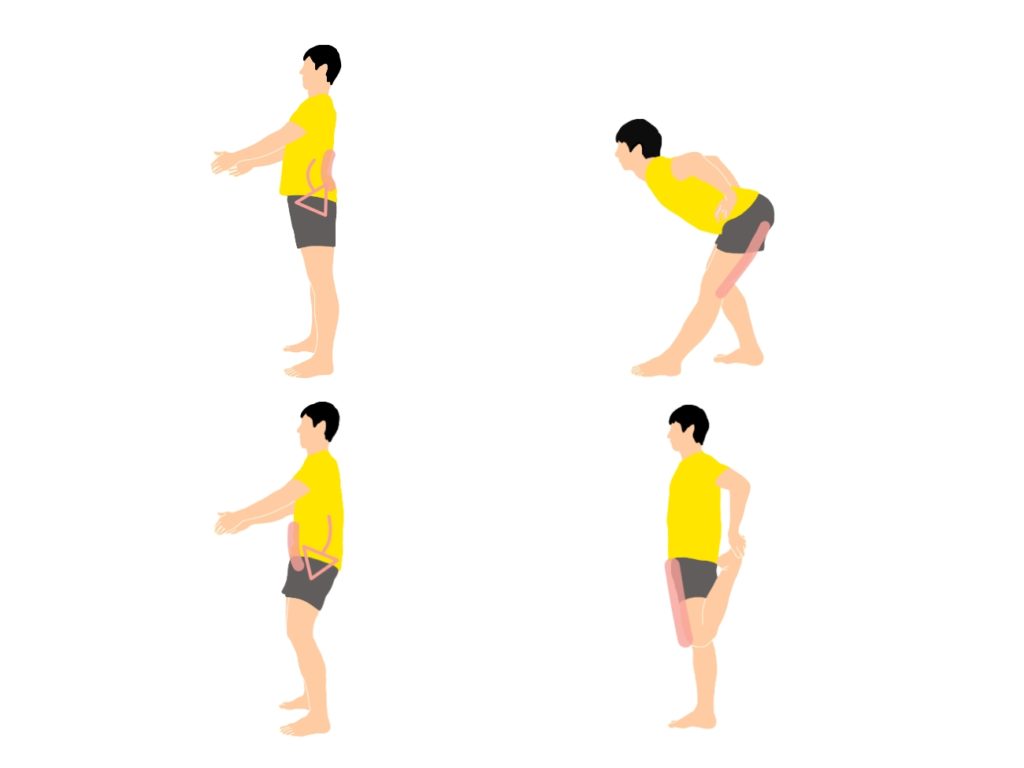骨盤の前傾と後傾を意識して行うハムストリングスと大腿四頭筋のストレッチ