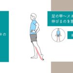 足の甲〜スネのストレッチ動画