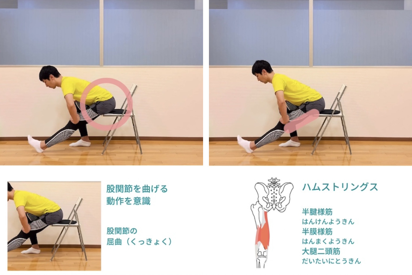 【YouTubeショート動画】「椅子で行うもも裏(ハムストリングス)のストレッチ」