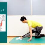 片ひざ立ちで行うもも裏（ハムストリングス）のストレッチ
