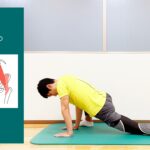 四つ這いで行う骨盤前面（腸腰筋）のストレッチ