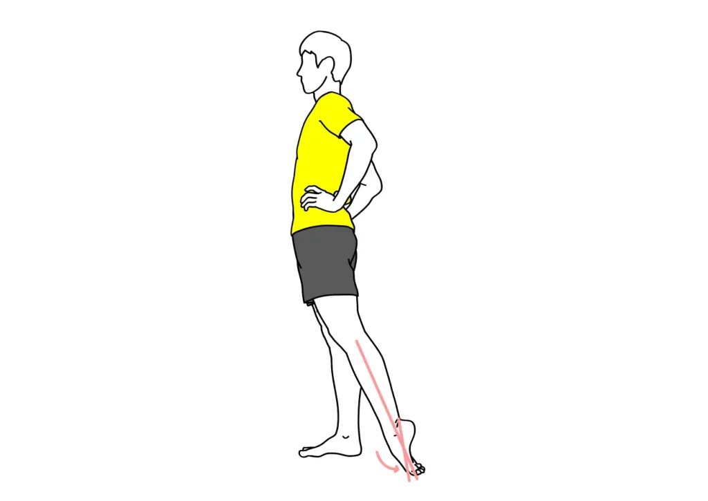 足首を伸ばす動作の柔軟性向上に。足の甲〜スネの筋肉（前脛骨筋）のストレッチの方法