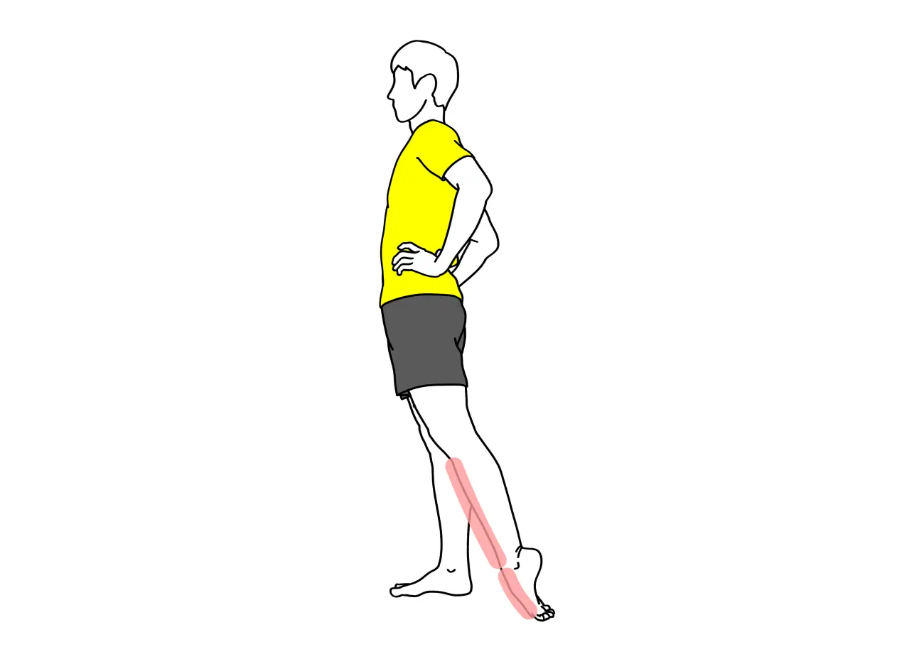足首を伸ばす動作の柔軟性向上に。足の甲〜スネの筋肉（前脛骨筋）のストレッチの方法