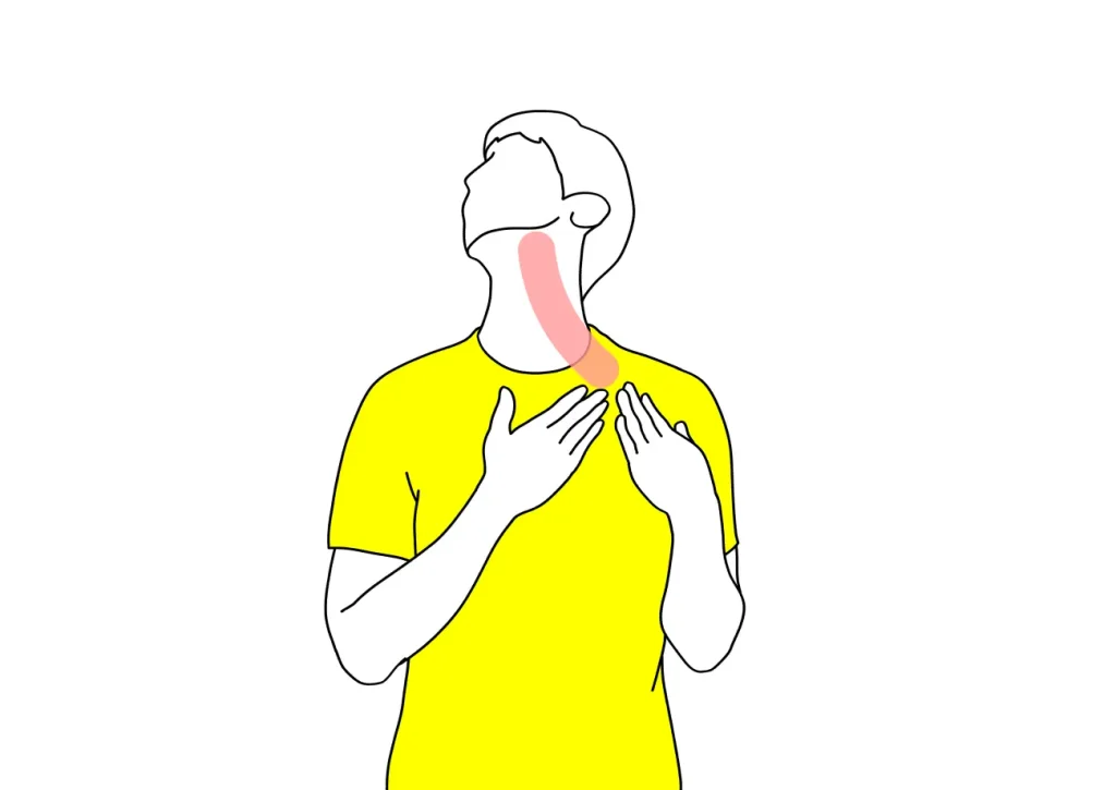 顎〜喉（胸鎖乳突筋・斜角筋）のストレッチ