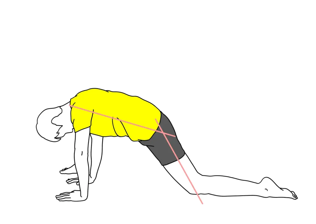 骨盤前〜太ももの前側（腸腰筋・大腿直筋）のストレッチの方法