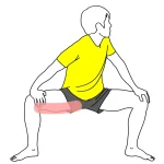 股割り姿勢で行う内もも（内転筋群）のストレッチの方法