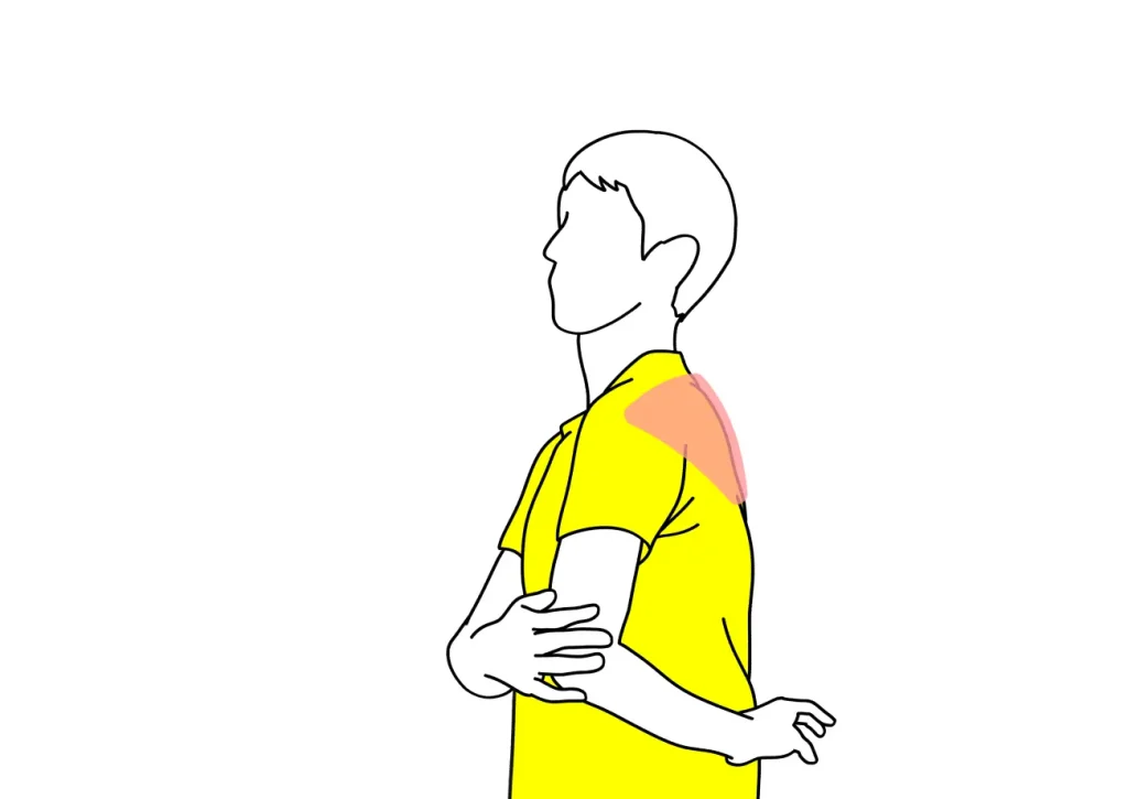 肩甲骨を外に広げて背中を伸ばすストレッチ