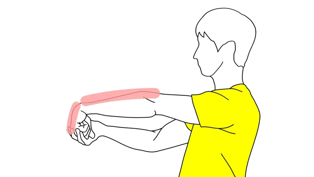 手の甲〜腕の筋肉（前腕伸筋群）のストレッチの方法