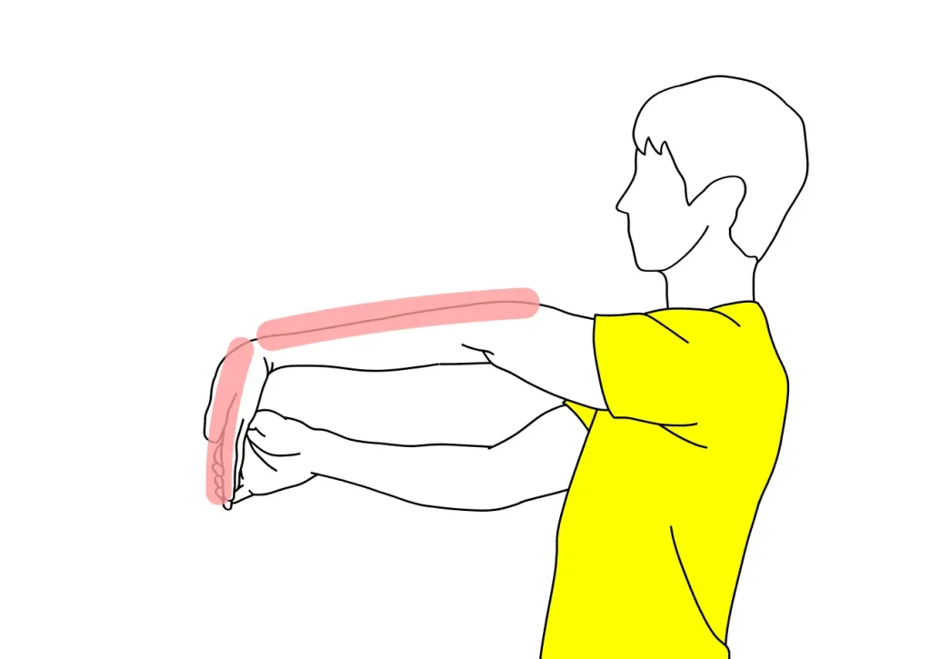 手の平〜腕の筋肉（前腕屈筋群）のストレッチの方法