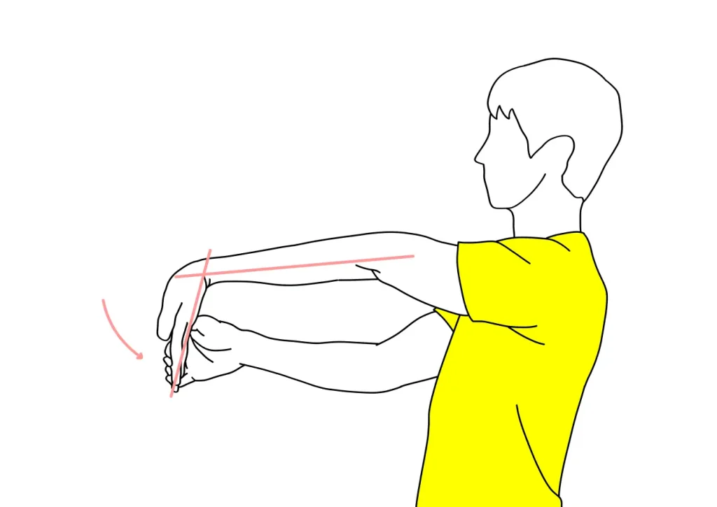 手の平〜腕の筋肉（前腕屈筋群）のストレッチの方法