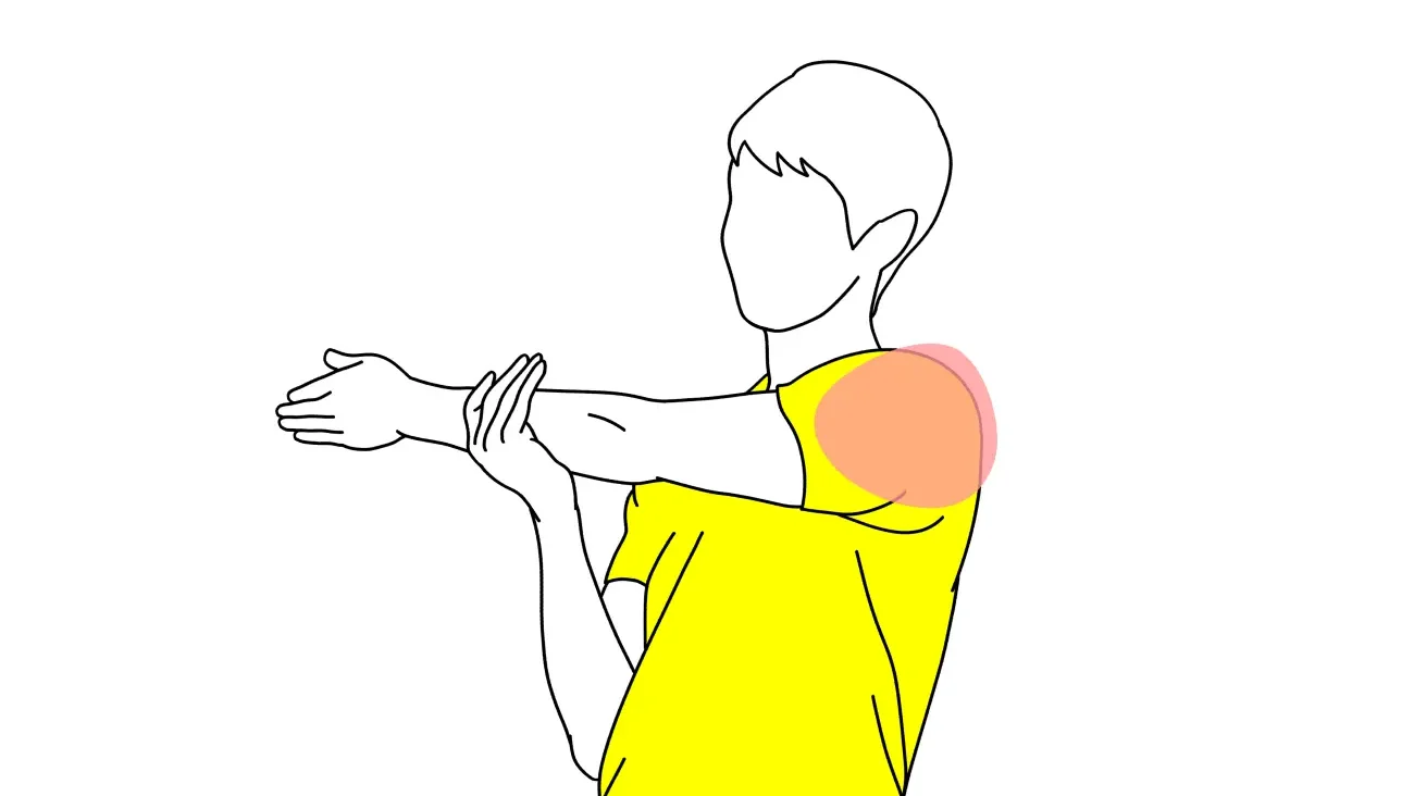 肩（三角筋後部）のストレッチの方法