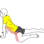 腹筋と内もものストレッチ